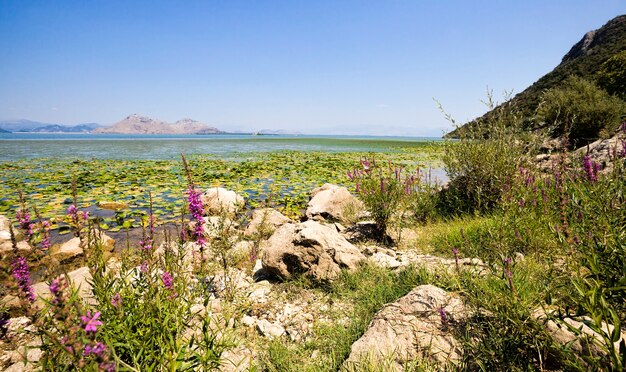 lake in a rocky area