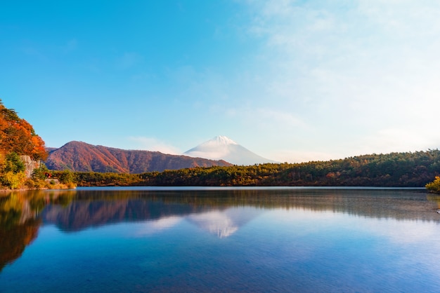 Lake Saiko and  mountain Fuji during autumn in Japan