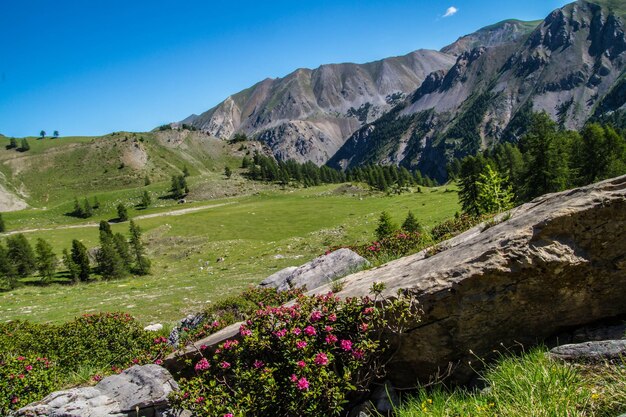 Lake sainte anne qeyras in hautes alpes in france