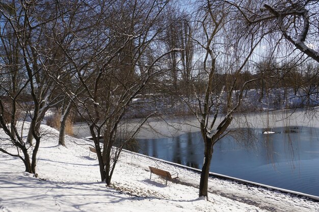 Lake shore covered with snow in winter