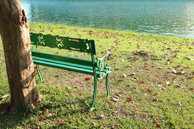 Lake Side Empty Bench under the Big Tree