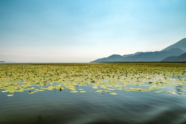 Lake Skadar in Montenegro