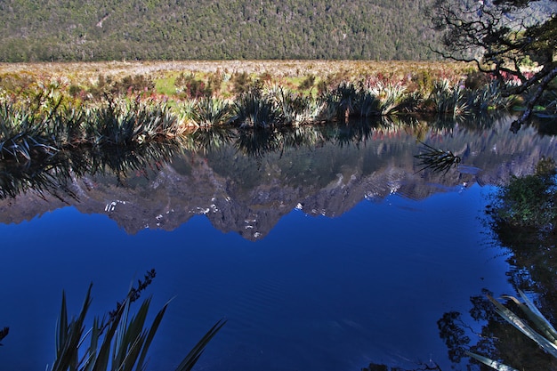 Lake of South island, New Zealand