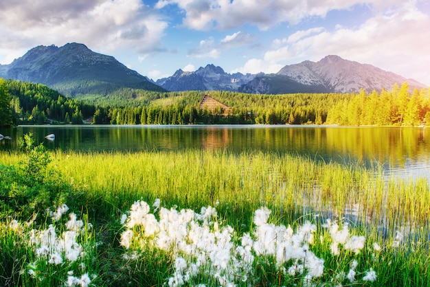 Photo lake strbske pleso in high tatras mountain, slovakia