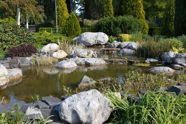 Lake in Summer park