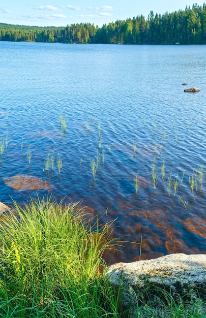 端に森がある湖の夏の景色（フィンランド）。