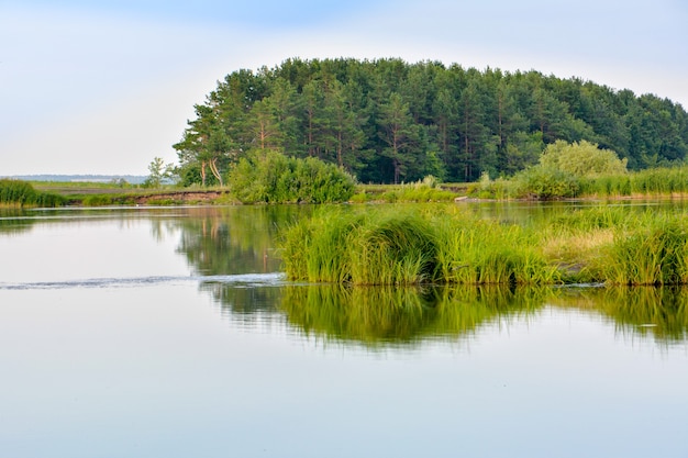 물 표면에 잔디와 나무의 반사와 호수 여름 보기 (Ulyanovsk, 러시아).