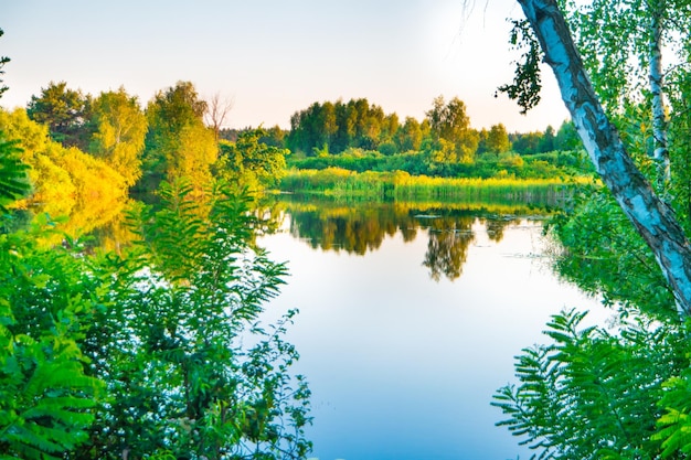 Lake sunset and nature spring landscape