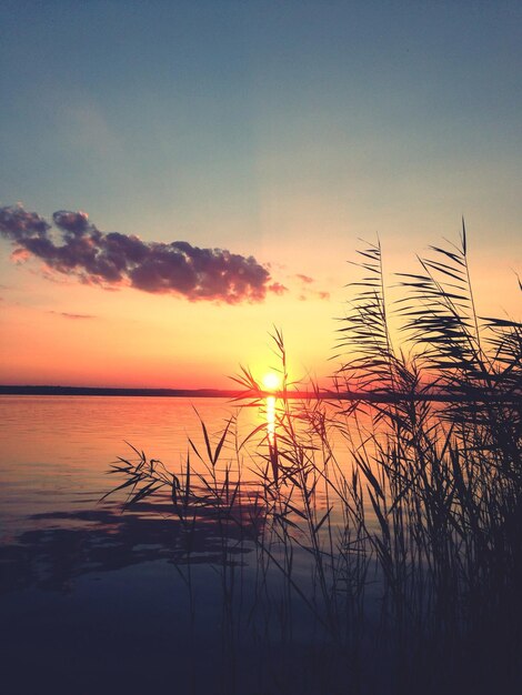 Foto il lago al tramonto