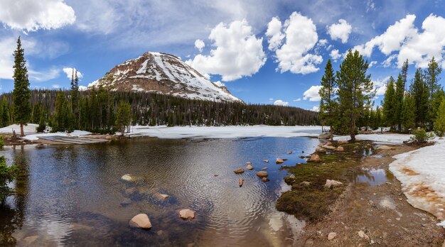 アメリカの風景の中の山や木々に囲まれた湖