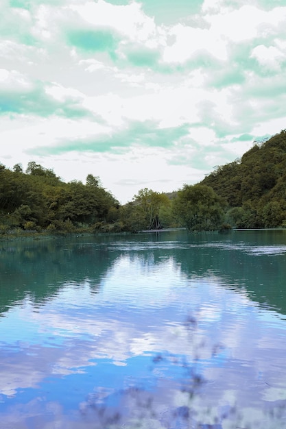 lake surrounded by trees