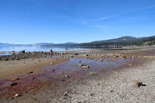 Lake tahoe Sugar Pine state park