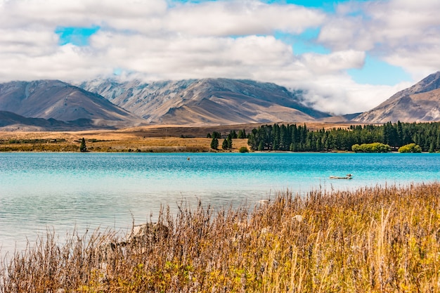 Lake Tekapo Nieuw-Zeeland