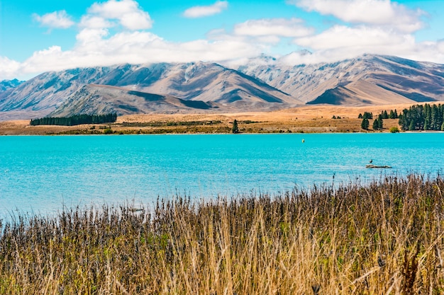 Lake Tekapo Nieuw-Zeeland