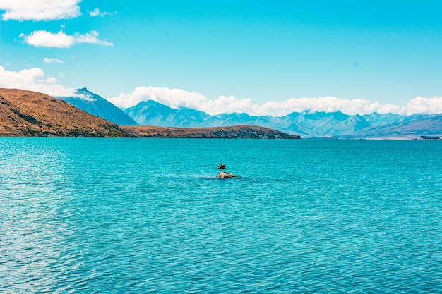 Lake tekapo nieuw-zeeland