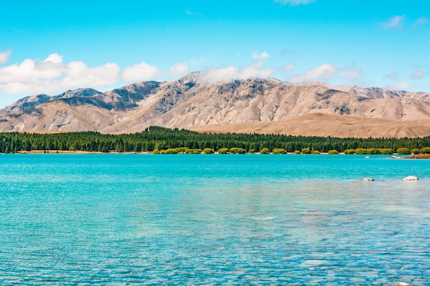 Lake Tekapo Nieuw-Zeeland