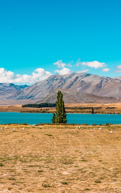 Lake Tekapo Nieuw-Zeeland