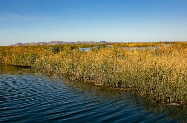 Lake Titicaca is the largest lake in South America and the highest navigable lake in the world