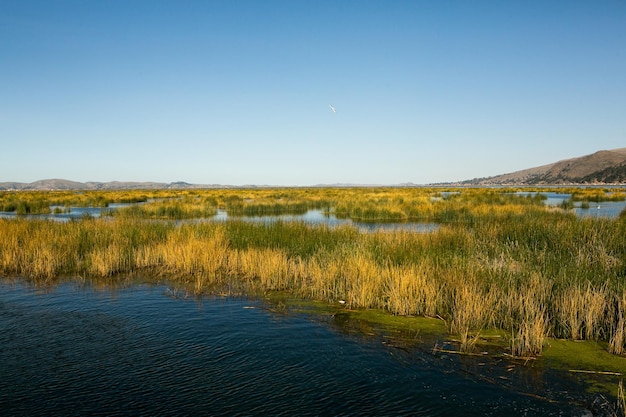 チチカカ湖は南アメリカで最大の湖であり、世界で最も高い航行可能な湖です。