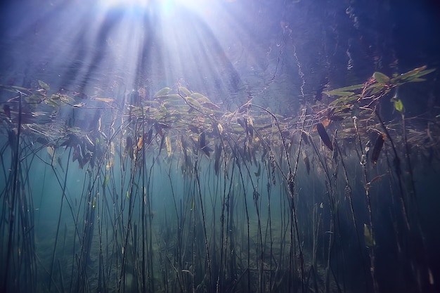 lake underwater landscape abstract / blue transparent water, eco nature protection underwater