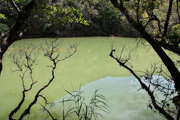 Photo the lake in the valley of wamena, papua, indonesia