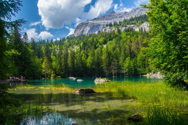 lake vert in chamonix in haute savoie in france