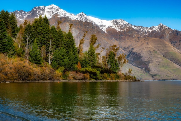 Lake Wakatipu shore