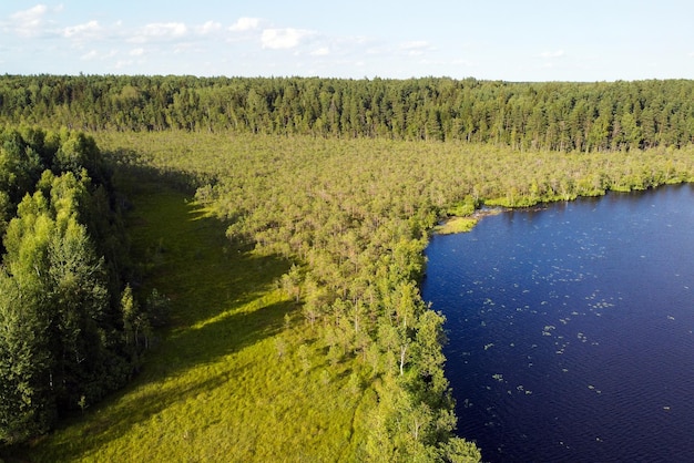 Lake water and green forest trees aerial view Summer landscape beautiful nature sunny day