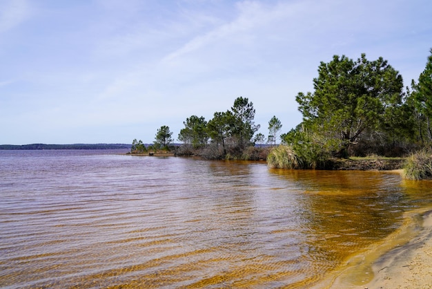 Lake water and sandy wild natural beach in Lacanau Gironde Aquitaine