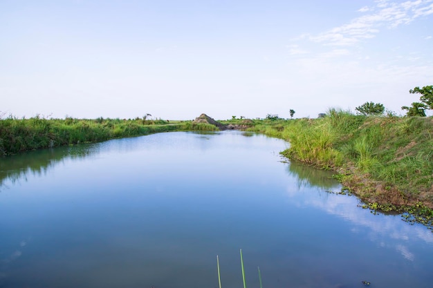 Lake water with green grass landscape view of under the blue sky