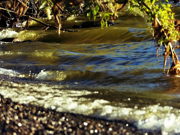 Photo lake waves on shore