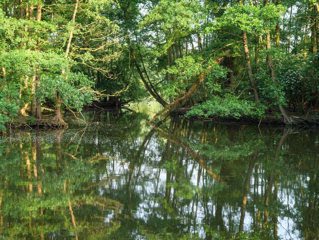 Foto lago in westfalia