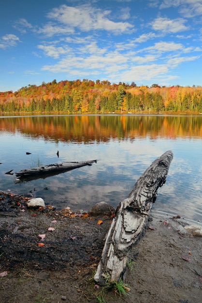紅葉のある湖、岸に木の丸太、ニューイングランドストウに反射する山々