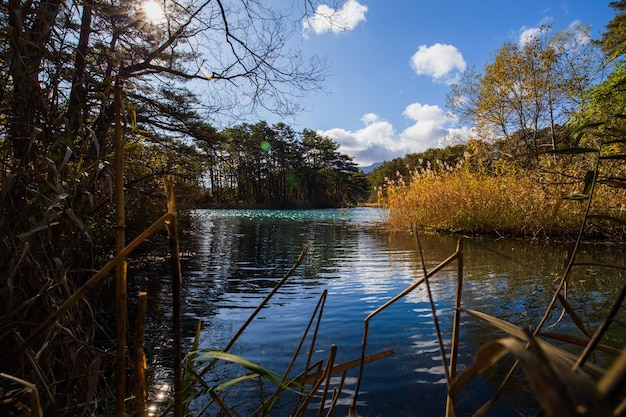 A lake with a blue sky and the sun shining on the water