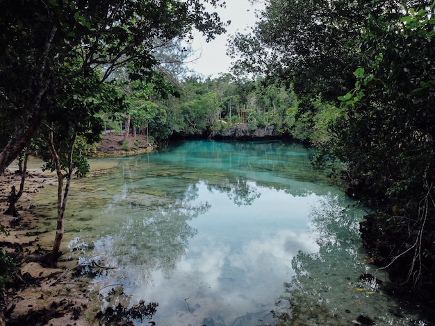 맑고 잔잔한 물이 있는 호수 Amarsekaru, Pulau Gorom, East Seram, Maluku