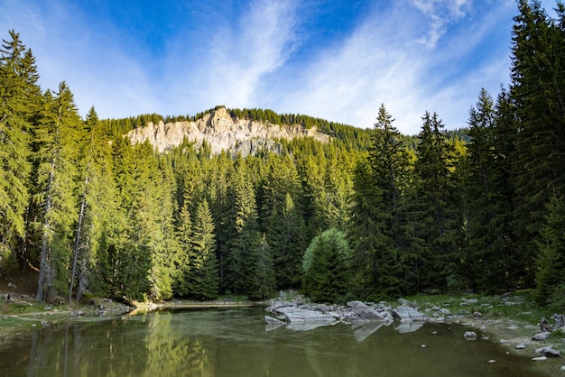 Lake with clear water and stone shore in spruce forest with fir trees against a daytime sky