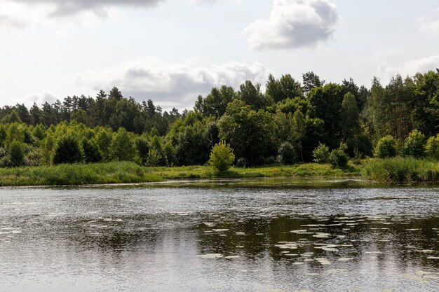 Озеро с грязной водой летом