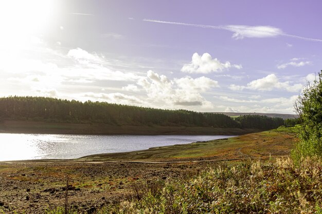 A lake with a field and trees in the background