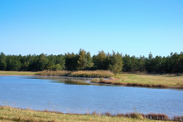 野生の草原の中央にあるヨウ素とミネラルのある湖