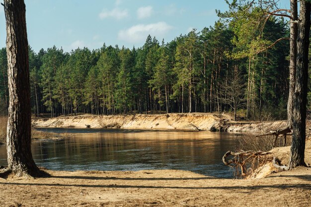 Photo a lake with a log in the water and a log in the foreground