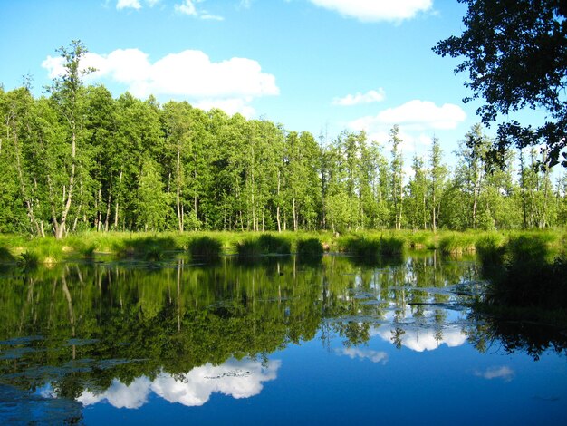 Lake with the reflected sky