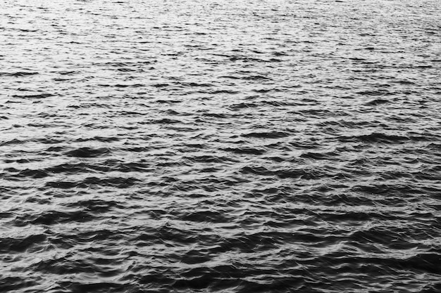 Lake with ripples. black and white water surface texture. High quality photo