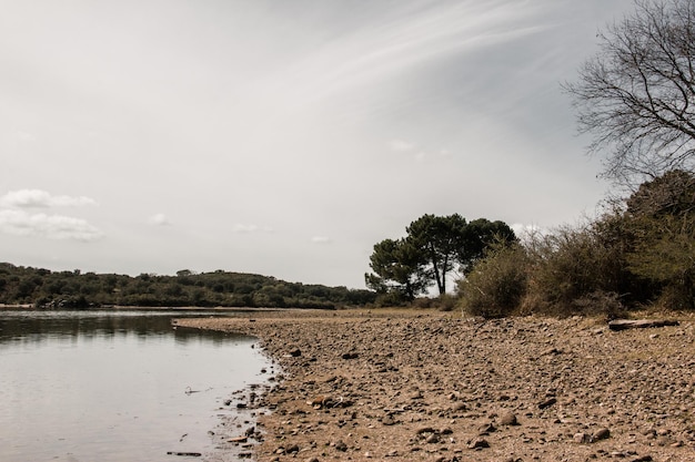 Lake with rocky shores and pine trees on a cloudy day Selective focus