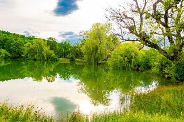 A lake with a tree in the foreground and a cloudy sky in the background.