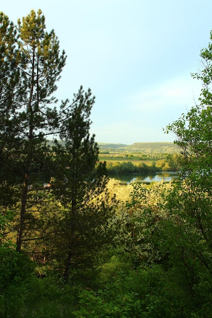 Foto un lago con un albero in primo piano e un lago sullo sfondo