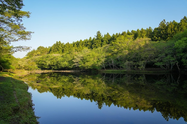 A lake with trees and a blue sky