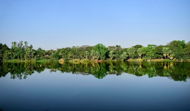 A lake with trees and a blue sky