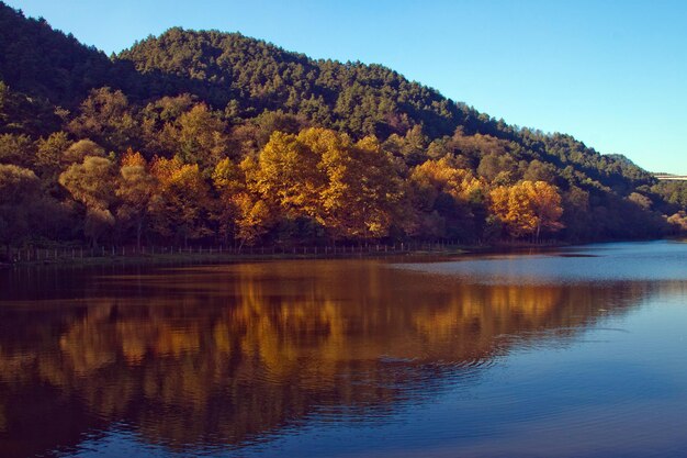 A lake with trees in the foreground and a mountain in the background