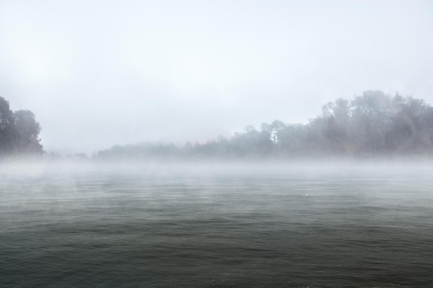 Lake with trees and green park