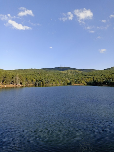 A lake with trees and a mountain in the background